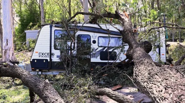 Caravan damaged by a tree during a cyclone