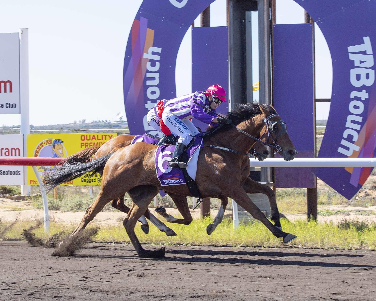 Carnarvon Races