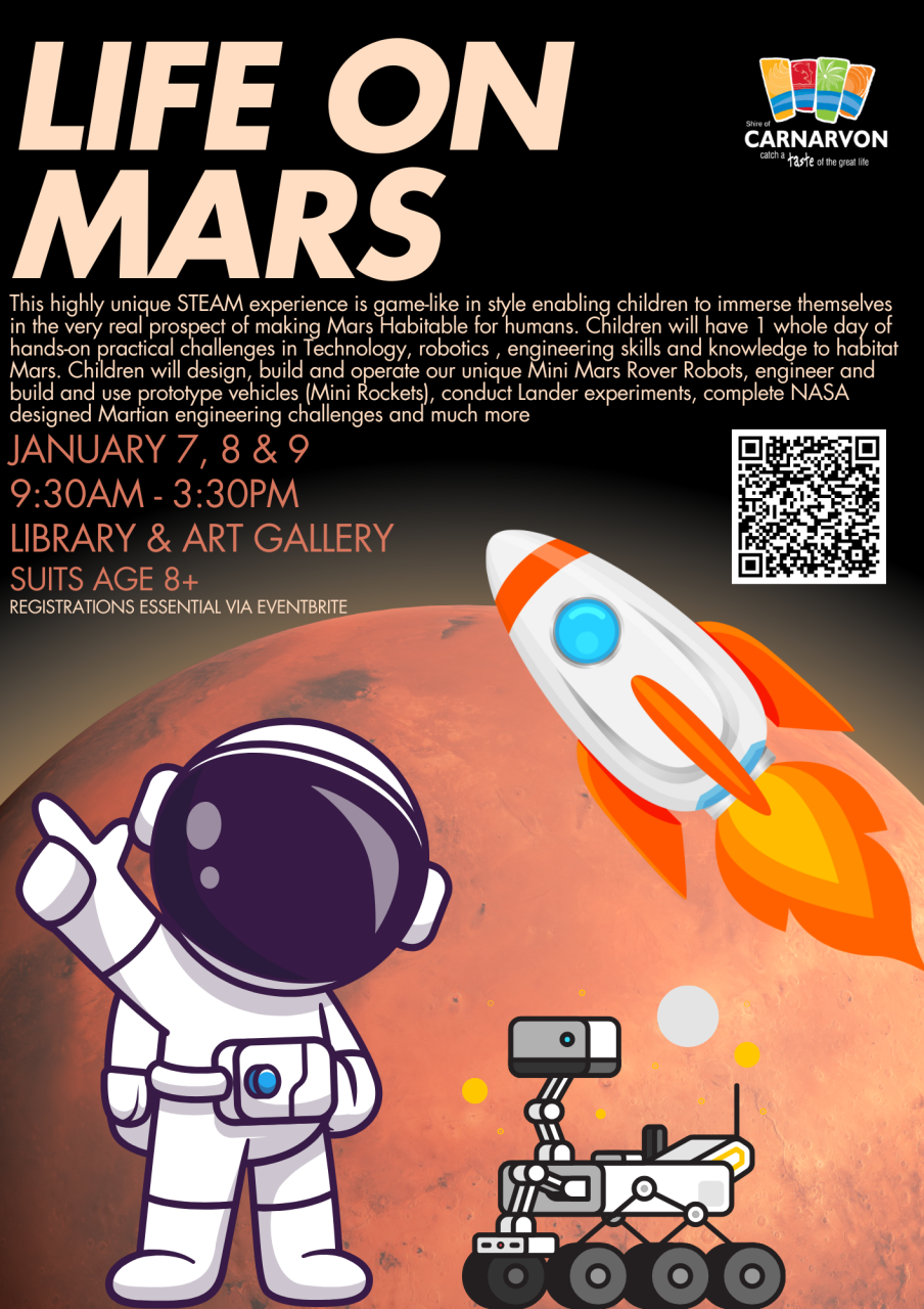 Life on Mars Workshop