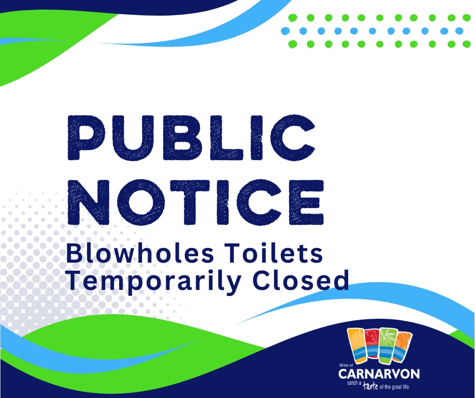 blowholes toilets closed (1)
